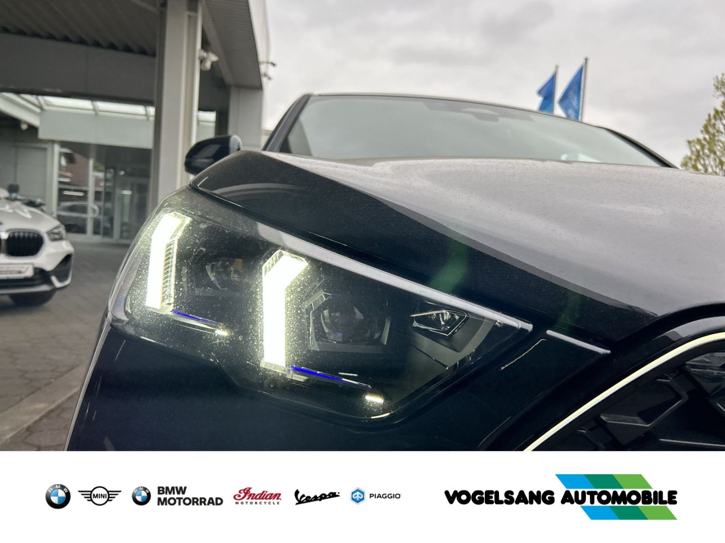 Fahrzeugabbildung BMW X2 20 i sDrive M Sport 20i EU6e SDRIVE20I Park-A