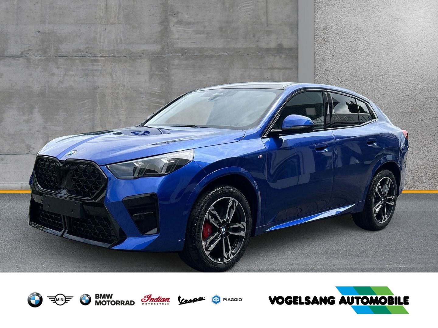 BMW X2 20i sDrive M Sport Park-Assistent Sportpaket