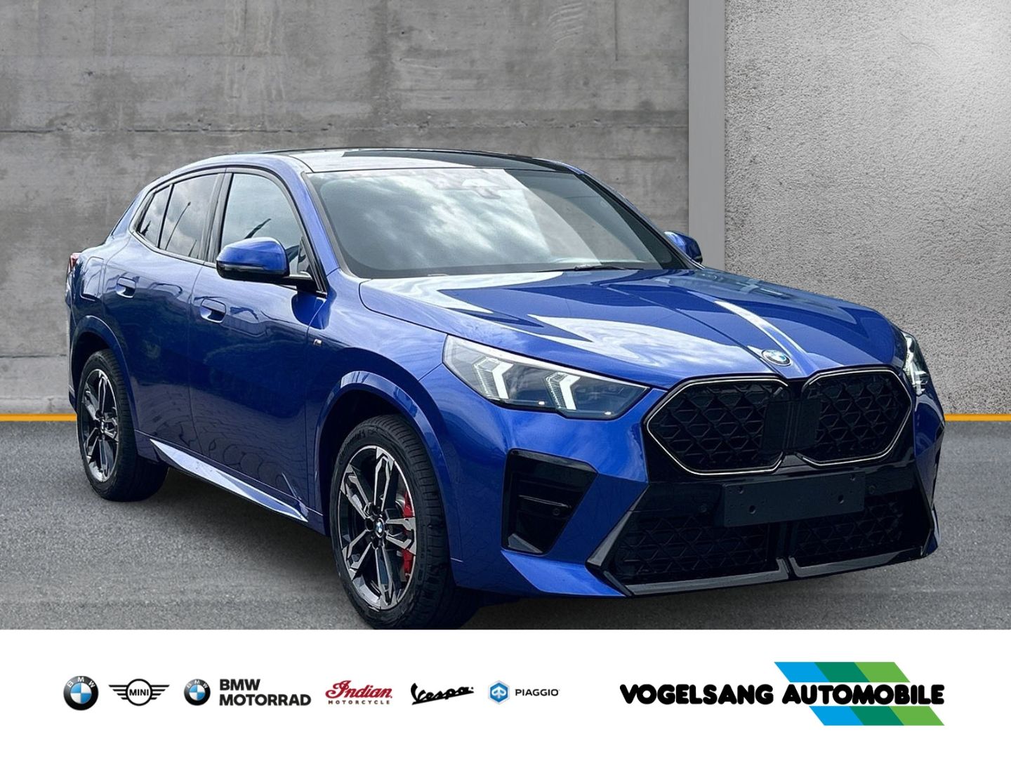 Fahrzeugabbildung BMW X2 20i sDrive M Sport Park-Assistent Sportpaket