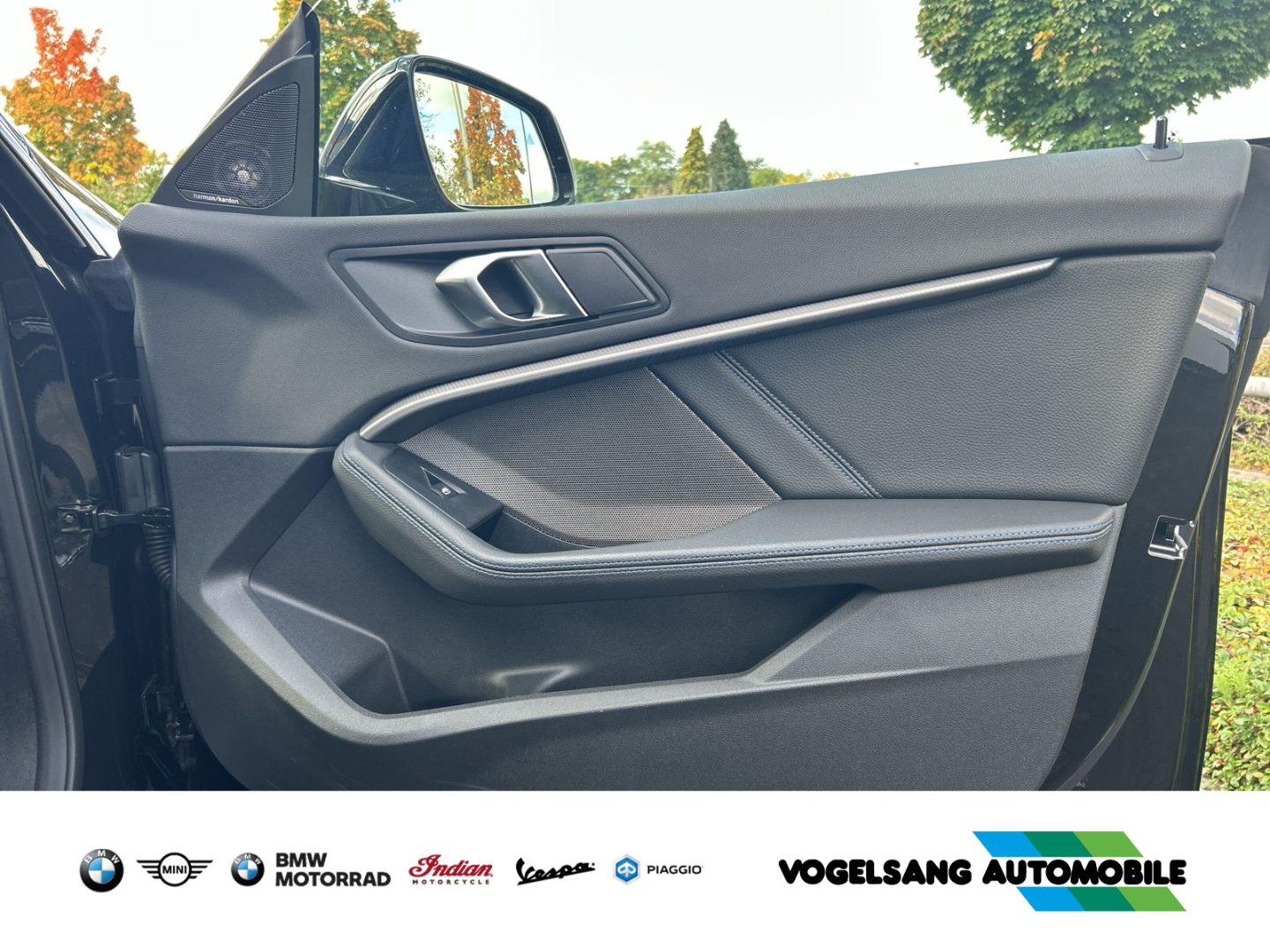 Fahrzeugabbildung BMW 218 Gran Coupe i M Sport Park-Assistent