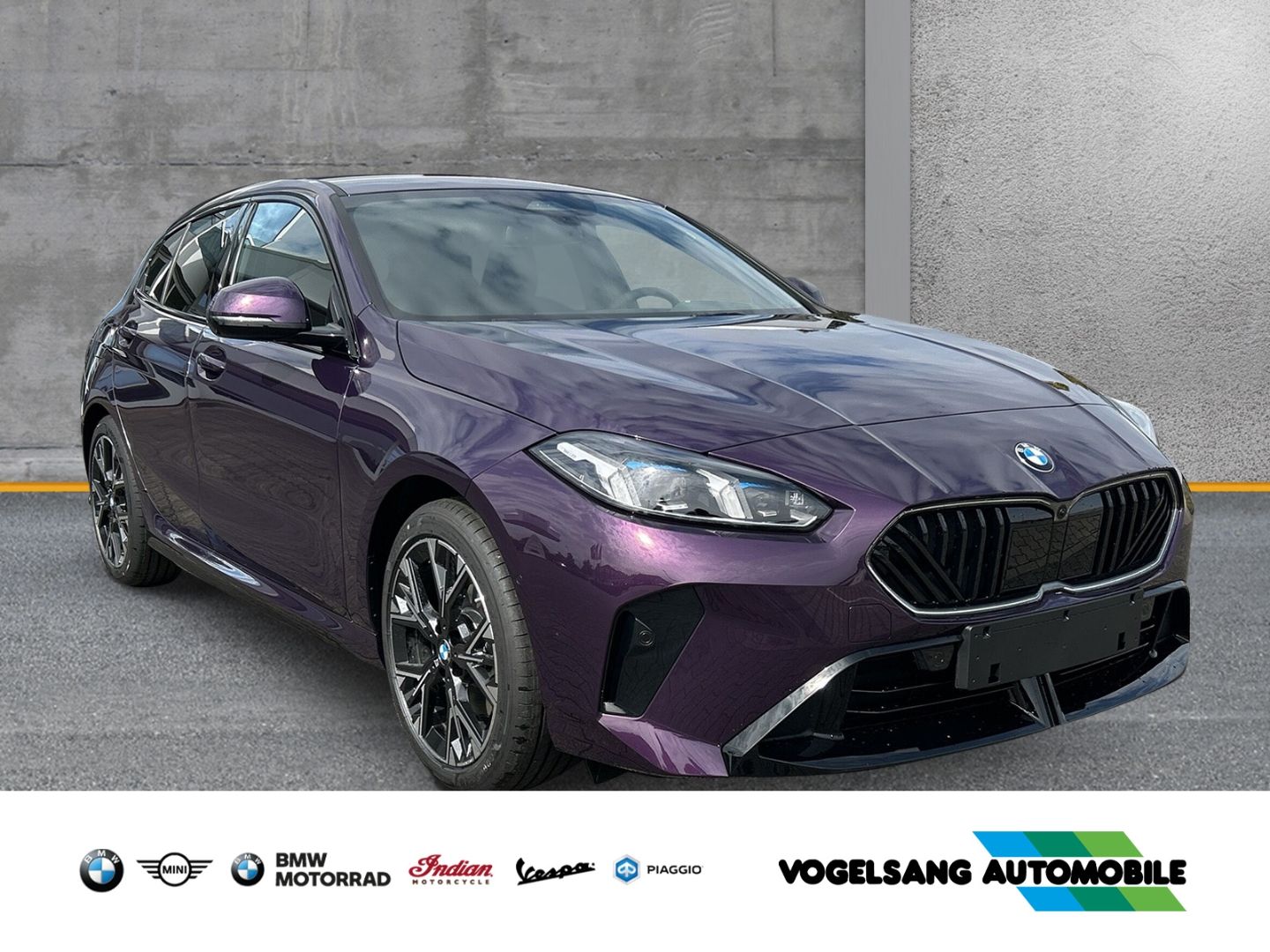 Fahrzeugabbildung BMW 116 i M Sport Park-Assistent Sportpaket Head-Up