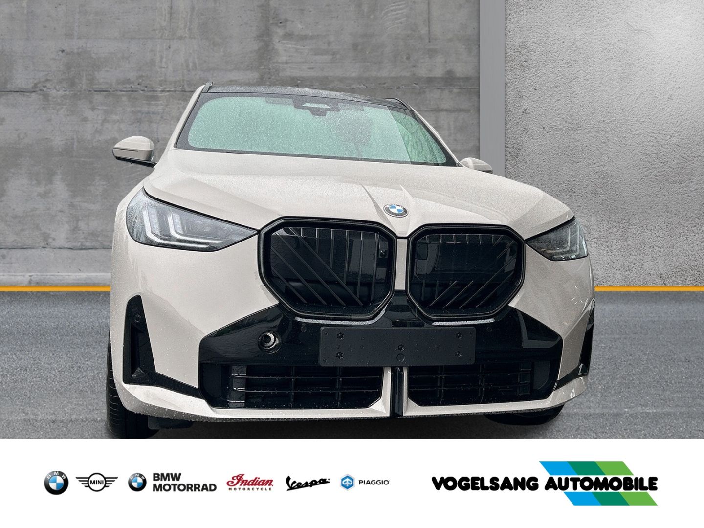 Fahrzeugabbildung BMW X3 20d xDrive M Sport G45